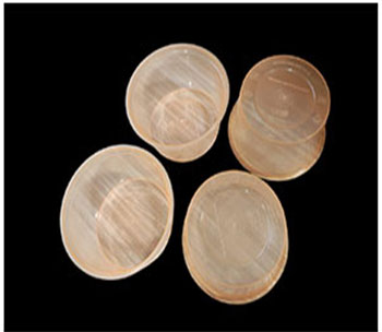 Biodegradable & Compostable Product